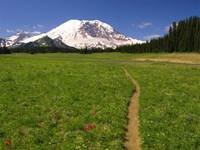 pic for 480x360 Scenic Trail Washington